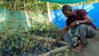 "رجل المانجروف".. قصة هندي يكافح تغيرات المناخ بالزراعة