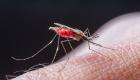اليوم العالمي لمكافحة الملاريا 2023.. أرقام مفزعة عن "المرض القاتل"