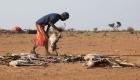 قسوة المناخ في أفريقيا.. "فاتورة ظالمة" تدفعها القارة السمراء (دراسة)