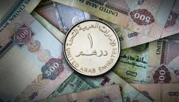 الدهم الإماراتي يستحوذ على أكثر من 70% 