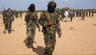 تصفية 40 عنصرا.. الصومال يتخلص من إرهاب "الشباب"