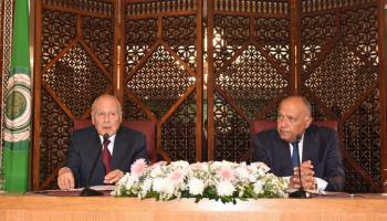 شكري وأبوالغيط خلال المؤتمر الصحفي