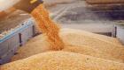 يكفي 4.1 شهر.. ارتفاع احتياطي مصر الاستراتيجي من القمح