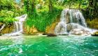 أجمل الحدائق في جامايكا.. 5 عجائب طبيعية مذهلة