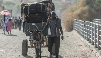 عربة يجرها حمار تحمل أمتعة اللاجئين  في ميتيما 