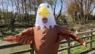 باغ وحش انگلیس استخدام می‌کند: پوشیدن لباس پرنده در ازای حقوق عالی!