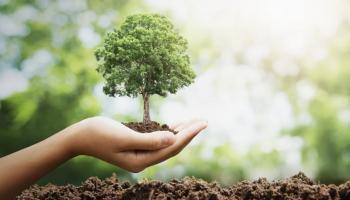 الحفاظ على البيئة أحد أدوات مكافحة التغير المناخي
