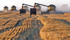 Rusya tahıl ihracatını daha da artıracak 