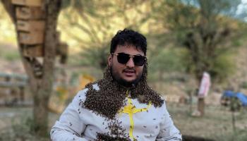 نحال يمني 