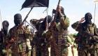 جوا وبرا.. حملة صومالية تستأصل 30 إرهابيا جنوبي البلاد   