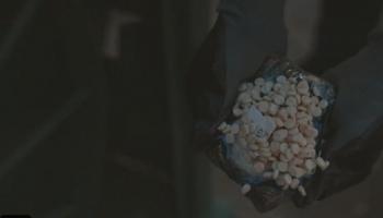 حبوب الكبتاغون المضبوطة