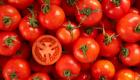 Tomates : Le Maroc sur le podium des exportateurs mondiaux