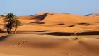 طوق نجاة.. هل تتجاوز موريتانيا كبوة التغيرات المناخية؟