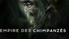 L'Empire des chimpanzés : la plus grande communauté de primates jamais découverte au coeur d'un documentaire Netflix