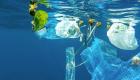 Okyanus  ve nehirlerdeki plastik kirliğinin başrolleri