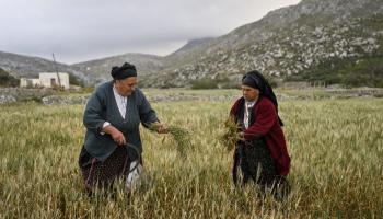 مزارعتان في قرية أوليمبوس