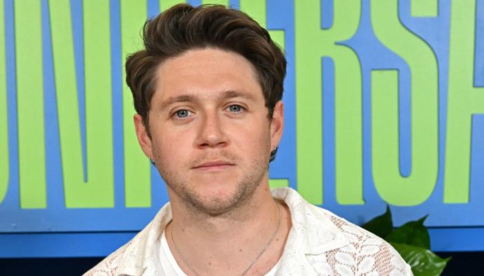 Niall Horan ancien chanteur de One Direction