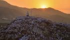قصة جبل عرفات وسبب تسميته.. وأهم الأدعية المستحبة