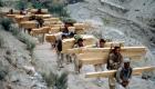 درگیری نیروهای طالبان در کنر بر سر «قاچاق چوب»!