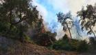 Antalya Valiliği'nden orman yangınlarını önlemeye ilişkin genelge: Kamp yasakları alındı