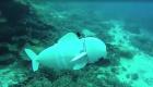ماهی رباتیک که نمونه‌های «دی‌ان‌ای» را در اقیانوس جمع آوری می‌کند! (+ویدئو)
