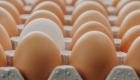 ماجرای کارتن تخم مرغ؛ اختراعی که سالانه ۸ میلیارد دلار درآمد دارد