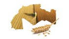 INFOGRAPHIE/Le taux de contribution des pays du Maghreb à la production mondiale de blé
