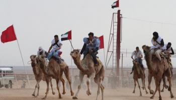 مشاركة إماراتية سابقة في موسم طانطان الثقافي