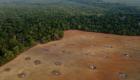 Réchauffement climatique : La déforestation de l'Amazonie au Brésil a baissé au premier semestre