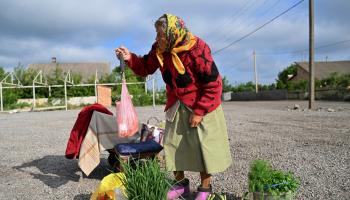 أوكرانية تبيع الخضر غير بعيد عن دونيتسك