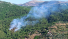 Milas'ta çıkan orman yangını söndürüldü