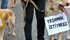 Köpeği 14 kurşunla katleden şahıs tutuklandı!