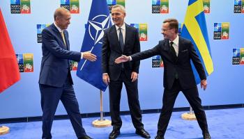 أردوغان يصافح رئيس الوزراء السويدي بجوار الأمين العام لـ