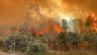 Antalya ve Muğla'da orman yangını