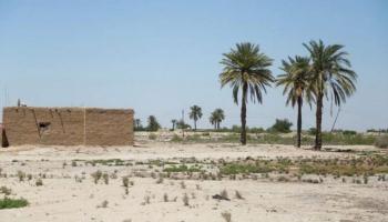 آثار الجفاف في محافظ الديواني العراقية