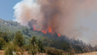 Osmaniye Sumbas ilçesindeki orman yangını sonucu 400 dönüm alan zarar gördü