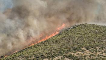  incendies de forêt près d'Athènes