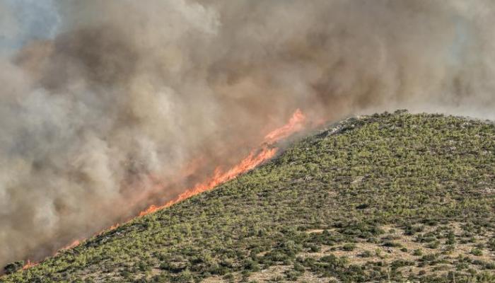  incendies de forêt près d'Athènes