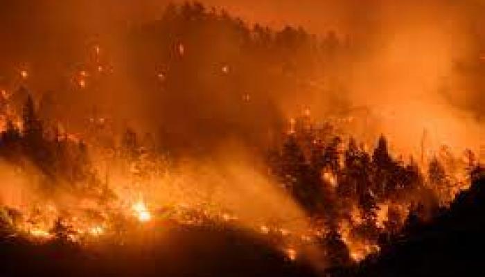 Les incendies de forêt dévorent les montagnes en Suisse