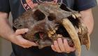 گربه ۵ میلیون ساله دندان‌‌خنجری در آفریقا کشف شد