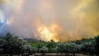 Yunanistan'ın Korfu Adası'nda da orman yangını: Binler tahliye edildi