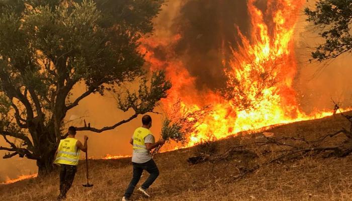 Feux de forêt en Algérie