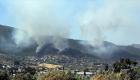 Hatay'da orman yangını: Antakya ilçesinde alevler kontrol altına alınamıyor