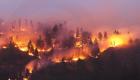 Incendies de forêt meurtriers dans le bassin méditerranéen