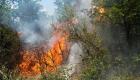 İstanbul Beykoz'da orman yangını: Ekipler seferber!