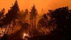 Kurnaz: Orman yangınlarını iklim değişikliği değil insan hataları tetikliyor | Al Ain Türkçe Özel