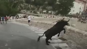 Pérou: un taureau sème la panique dans les rues