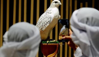 معرض أبوظبي للصيد 