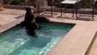 Un ours noir filmé en train de se baigner dans un bain à remous en Californie 