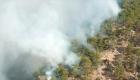 Bolu’daki orman yangını kontrol altına alındı 